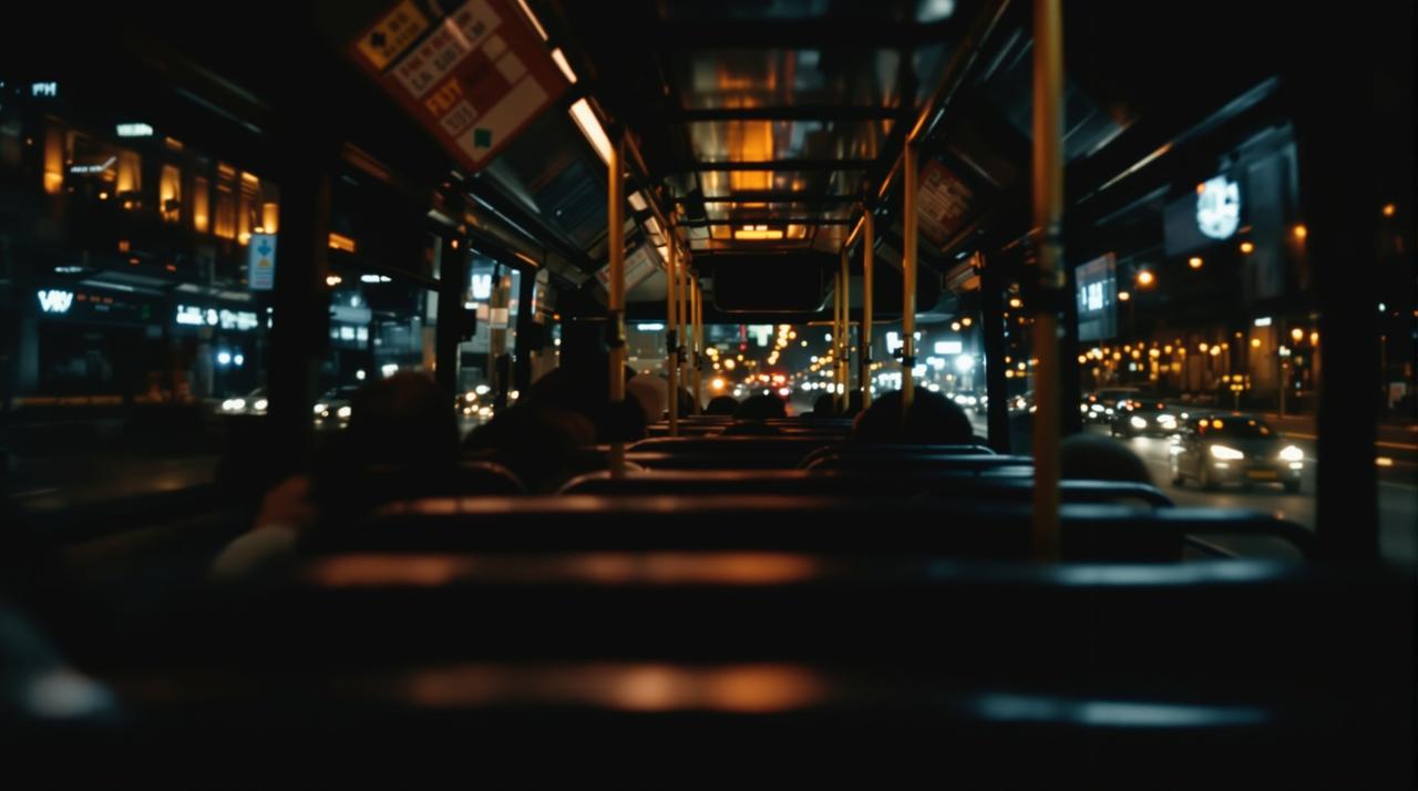 红豆影视-城市之光:午夜巴士代表作封面